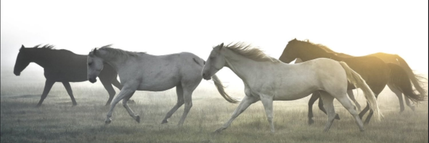 Bea (🧵@bcapistrant) banner