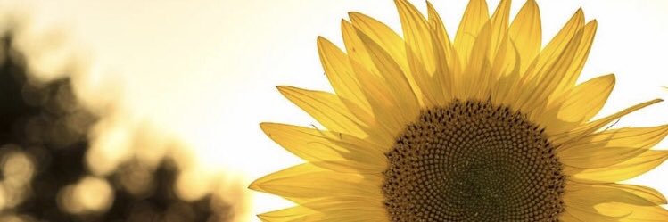 ANG8179's profile banner image