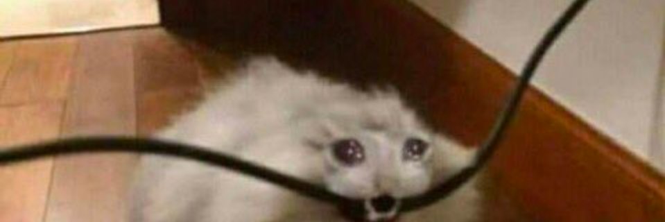 David A Marcillo banner