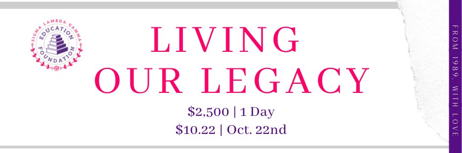 SLG_EFoundation's profile banner image