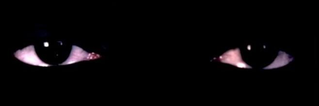 haileymyly's profile banner image