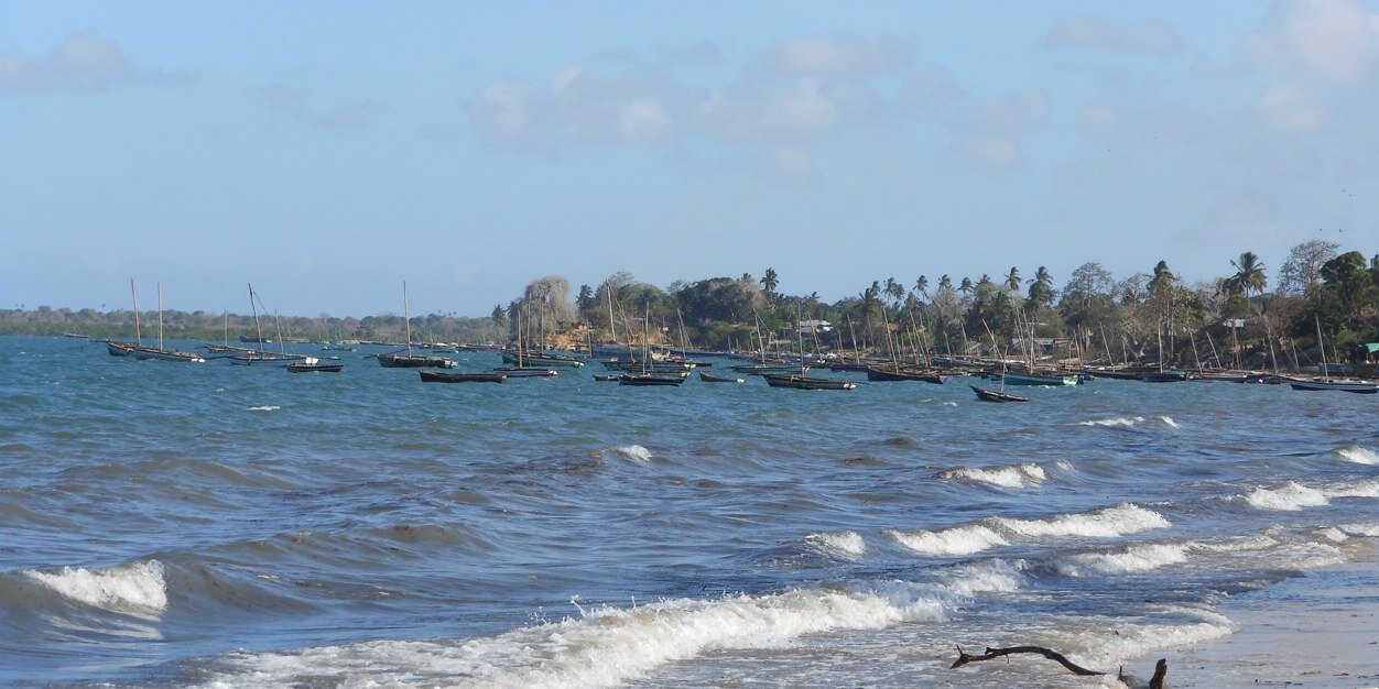 Anthony Shelton banner