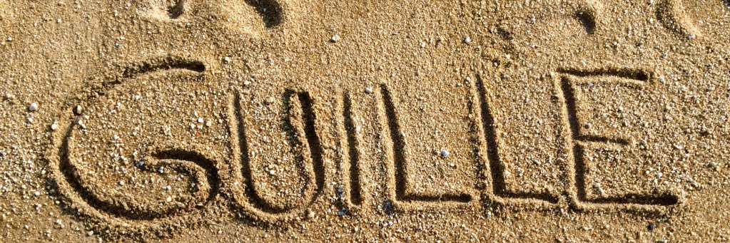 🌈Mr.Guille🌈 banner