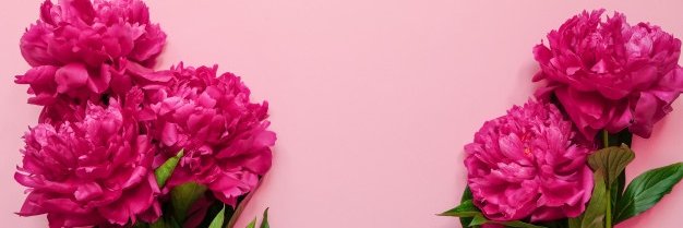 MiliCaitano's profile banner image