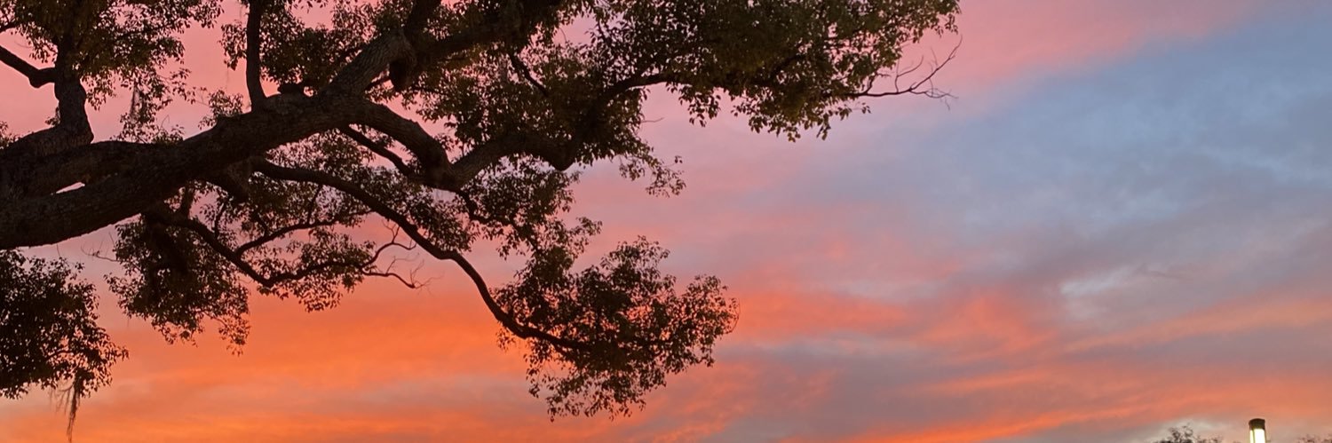 BrookeVanEyk's profile banner image