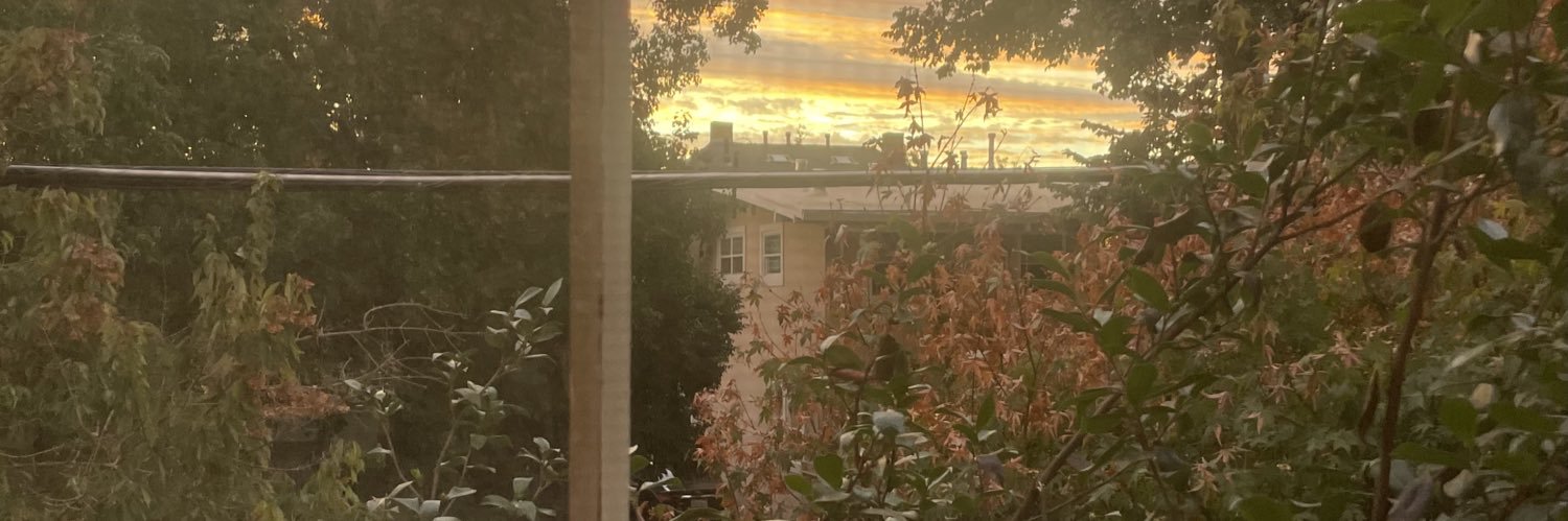 grayceewinton's profile banner image