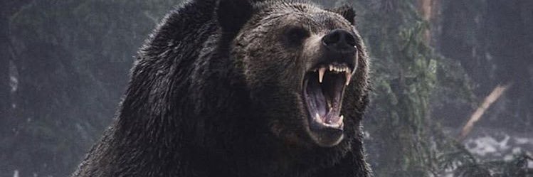 Tj_short23's profile banner image