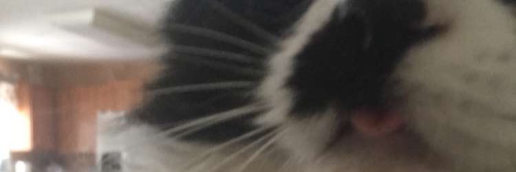 daardvareckas's profile banner image