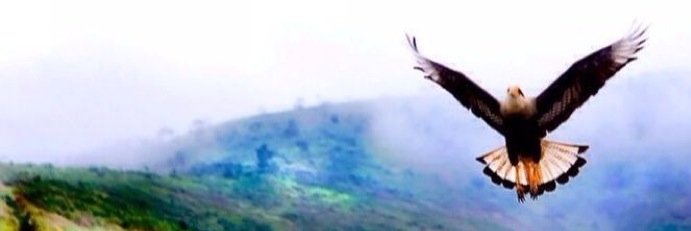 RiB_mudetambem's profile banner image