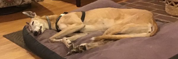 ClaireKRobbins Profile Banner