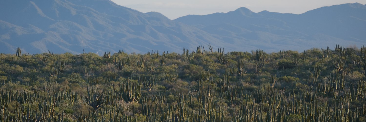 clarkbwinter's profile banner image