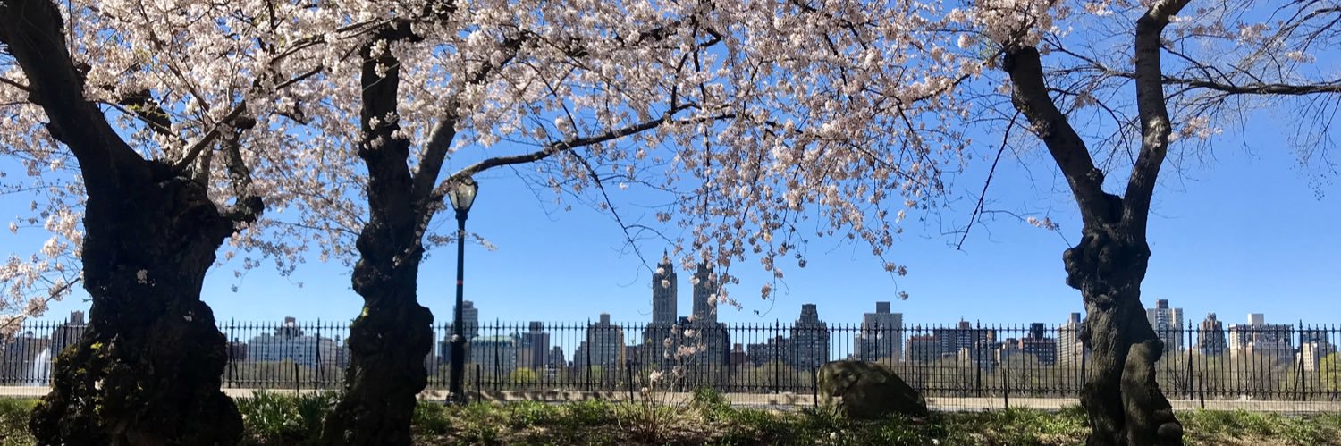 Mary Helen Larsen banner