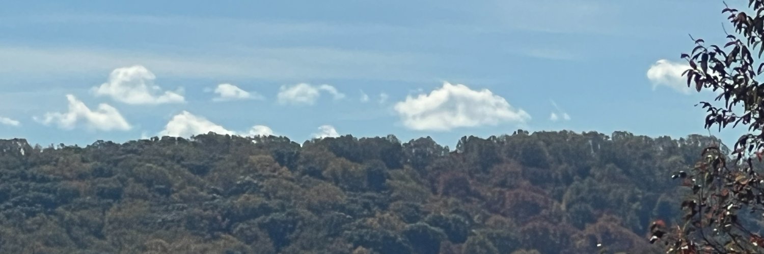 Aiden Gonzalez banner