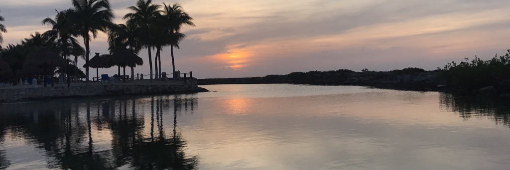 Angiebh's profile banner image
