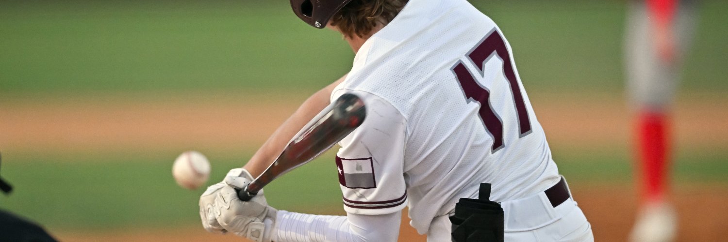 Huntington Hounds banner