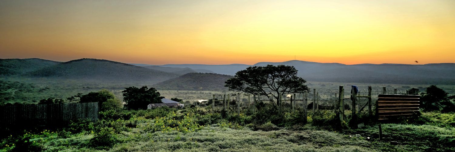 Zani_M's profile banner image