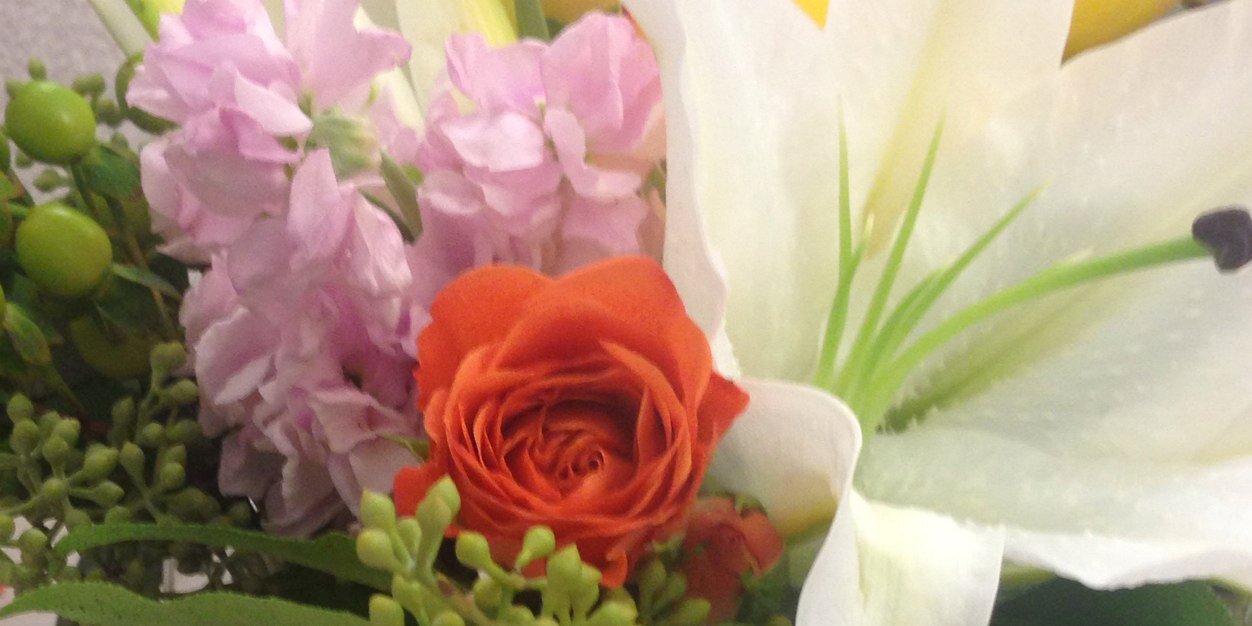 Jimieka Rose banner