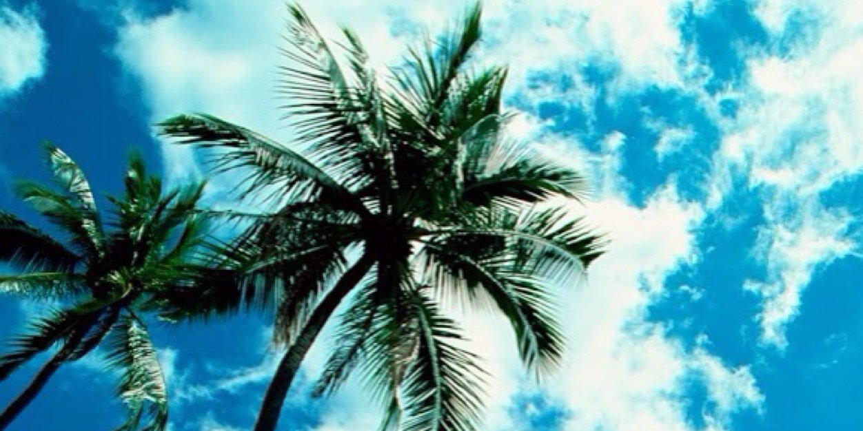 Vero banner