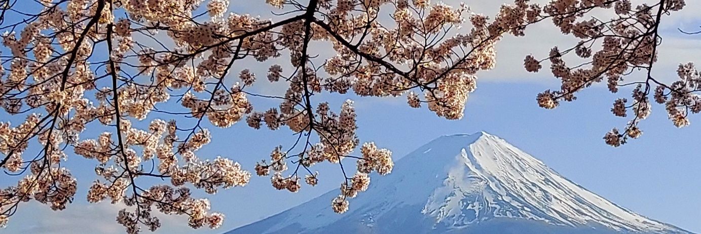 YuribaabaS's profile banner image