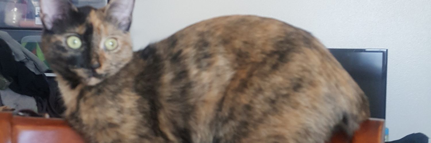 crazydave034's profile banner image