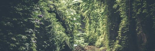CampSecondGrade's profile banner image