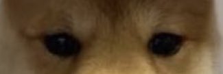 moosh's banner