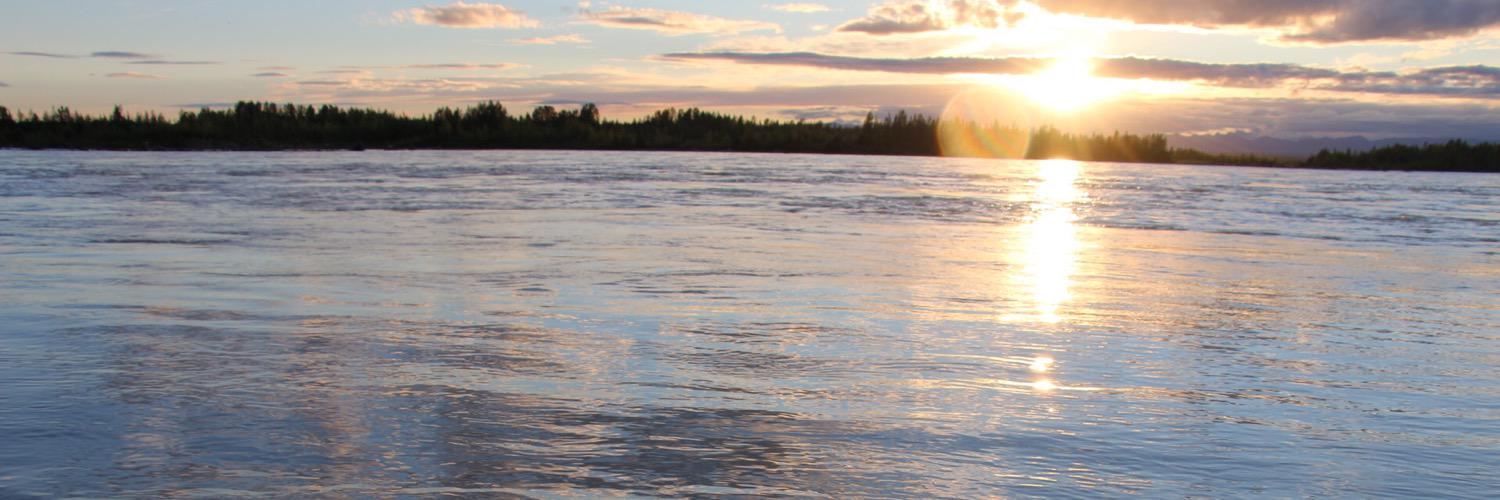 elleayedee's profile banner image