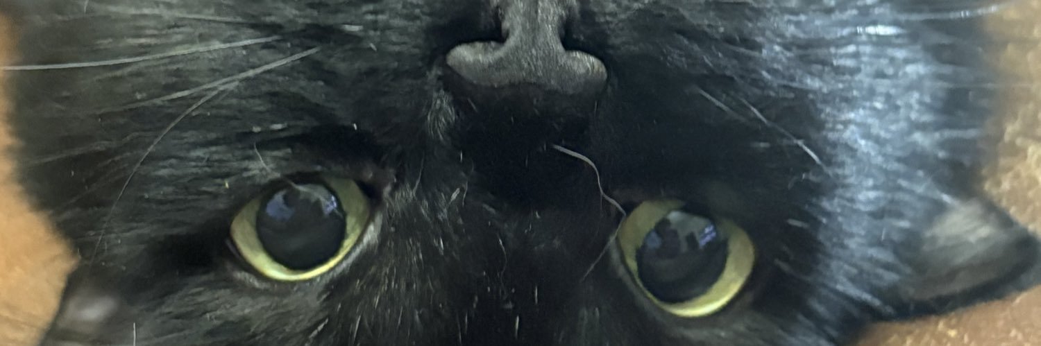 kristalee08's profile banner image