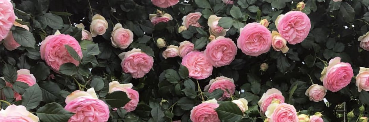 kn_0302's profile banner image