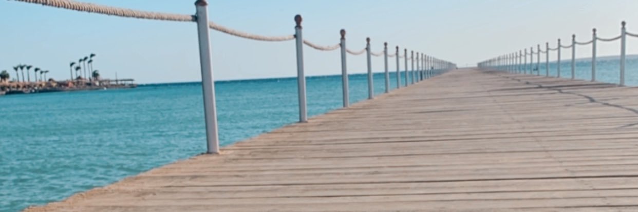 Alaa70113893's profile banner image
