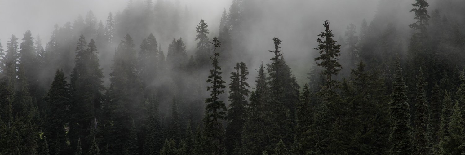 difipopa's profile banner image