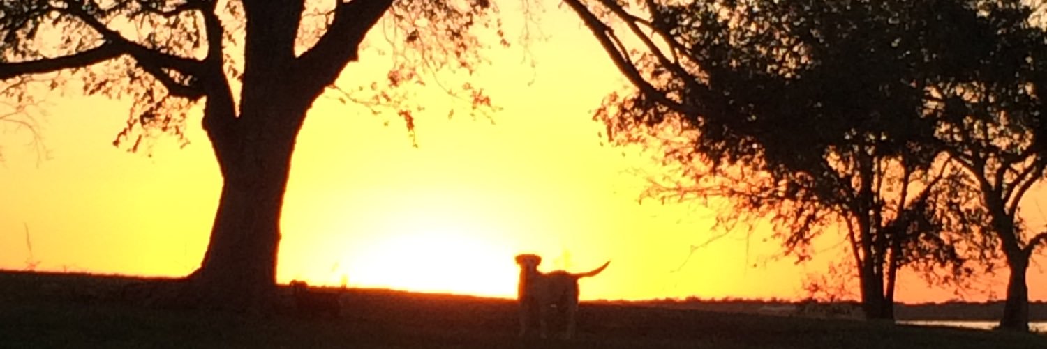 joliver_6's profile banner image