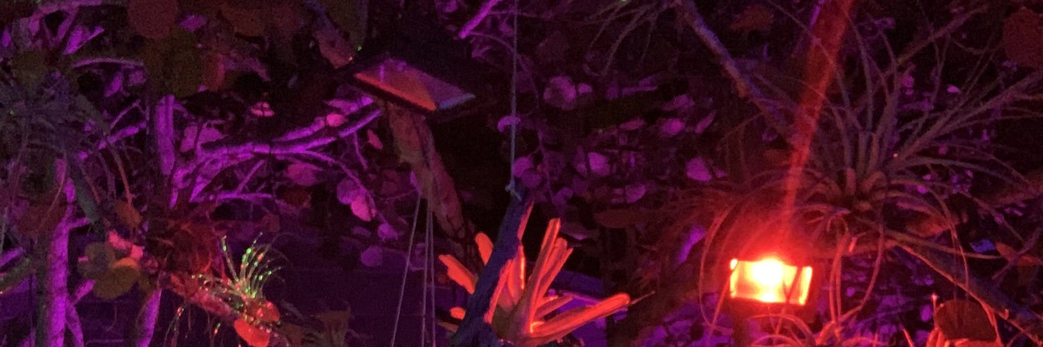 devvincorrwin's profile banner image