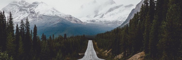 abbeyrice_'s profile banner image
