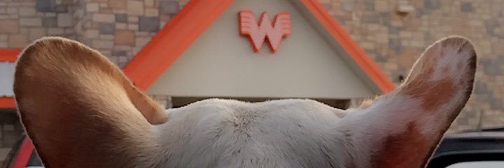 JakeQueen's profile banner image