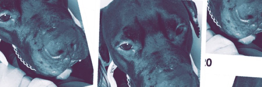 aly_dorris's profile banner image