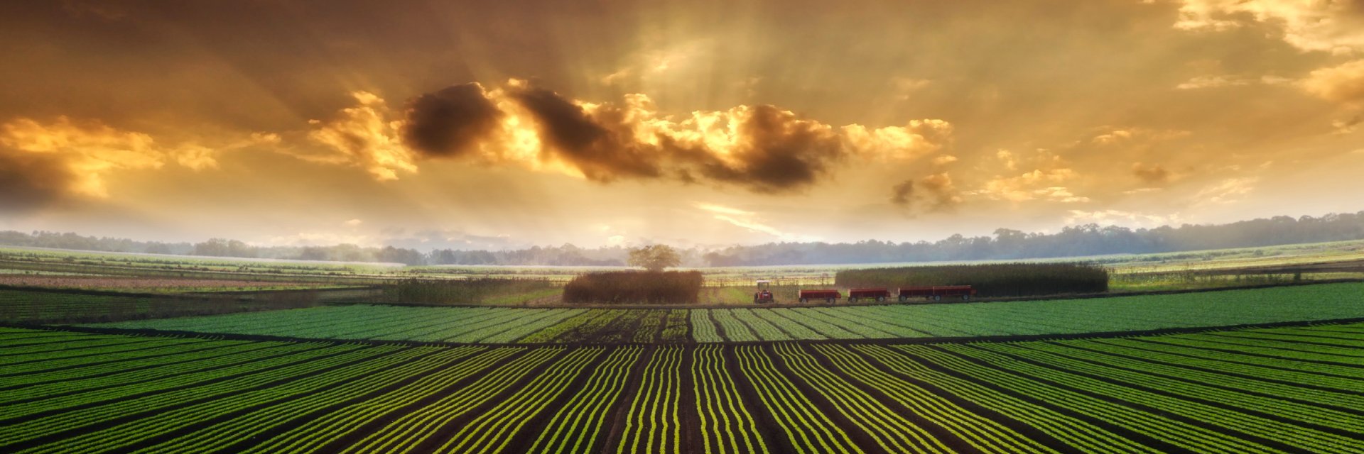 Machinery Scope banner