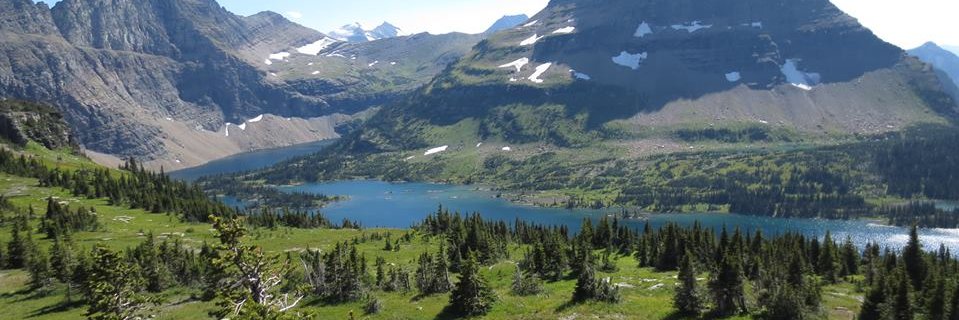 Jer Van Cypher banner