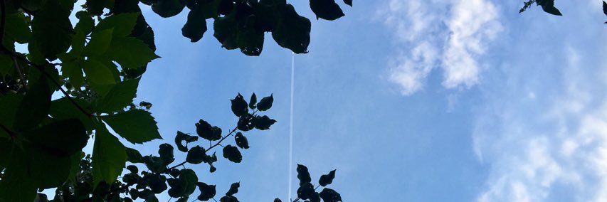 WantingHuang_'s profile banner image