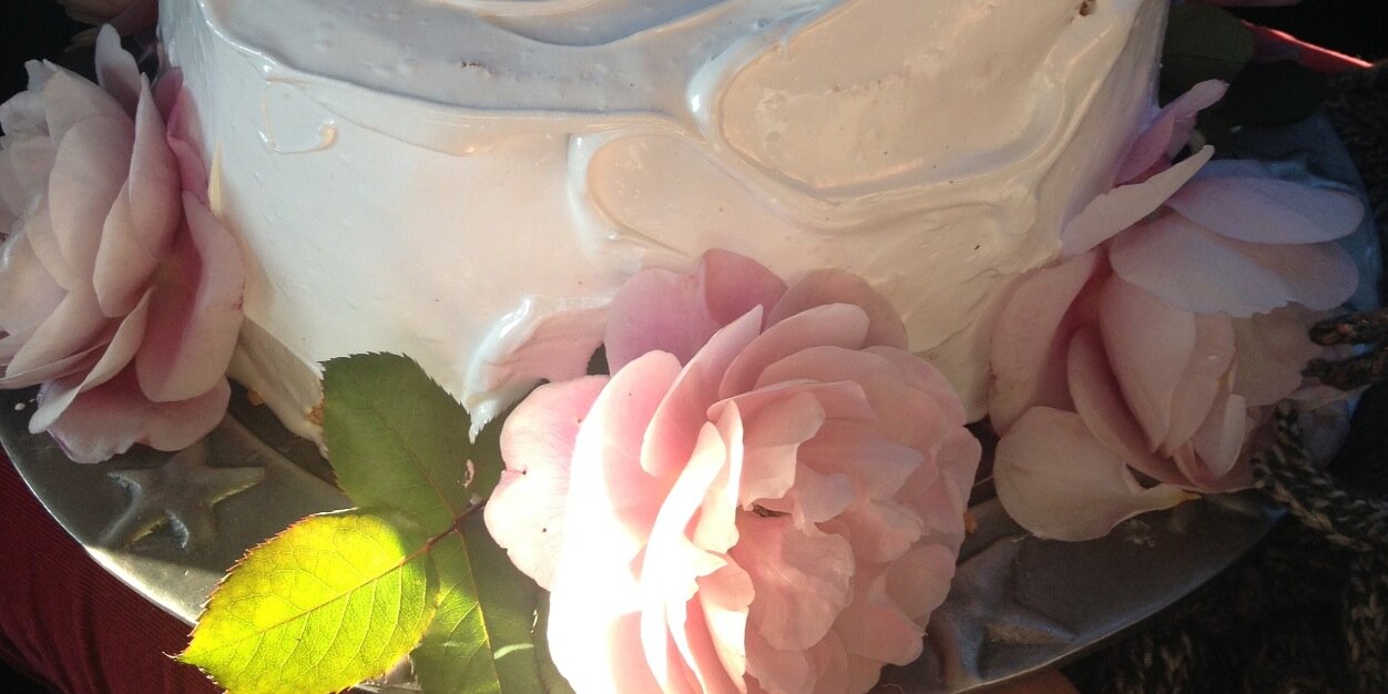 jenspotts's profile banner image