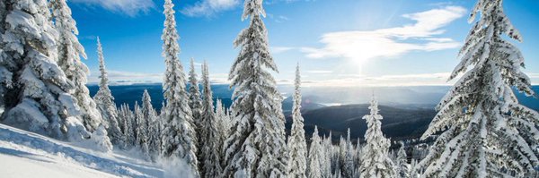 czinbc Profile Banner