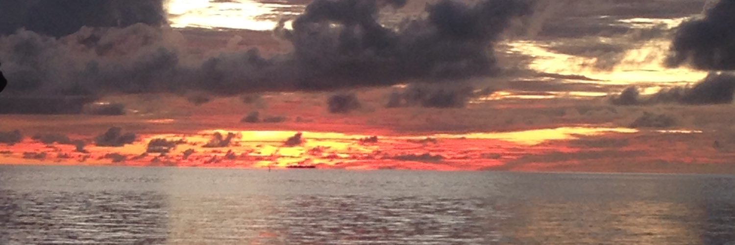 wellsy4's profile banner image