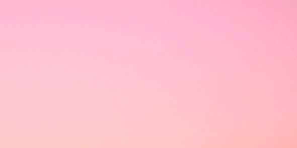 sexualmalibu's profile banner image