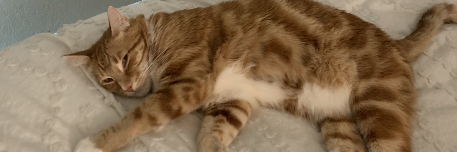 dawson_eli's profile banner image
