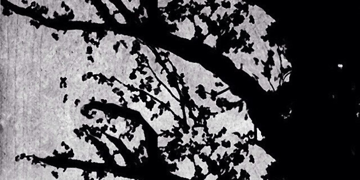 KarinaKim's profile banner image