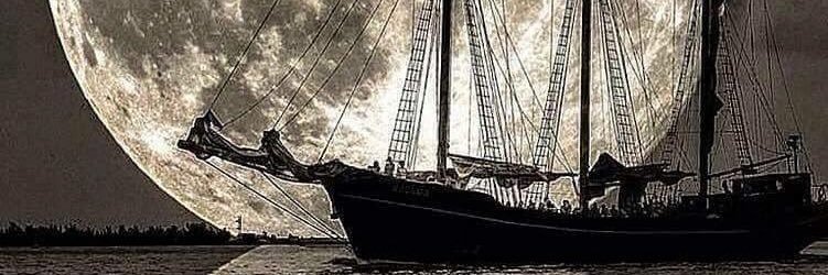 NAWAF219's profile banner image