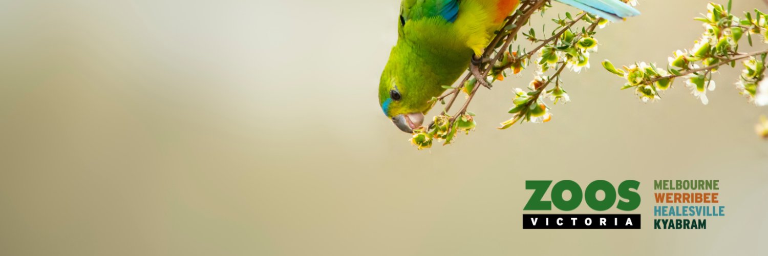 Zoos Victoria banner
