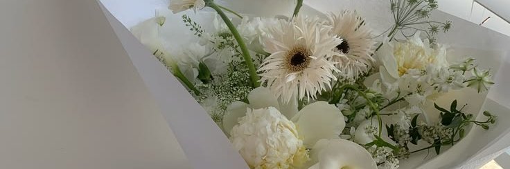 flaxteers's profile banner image