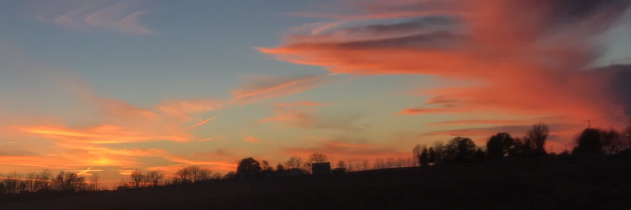 steph_jacobss's profile banner image