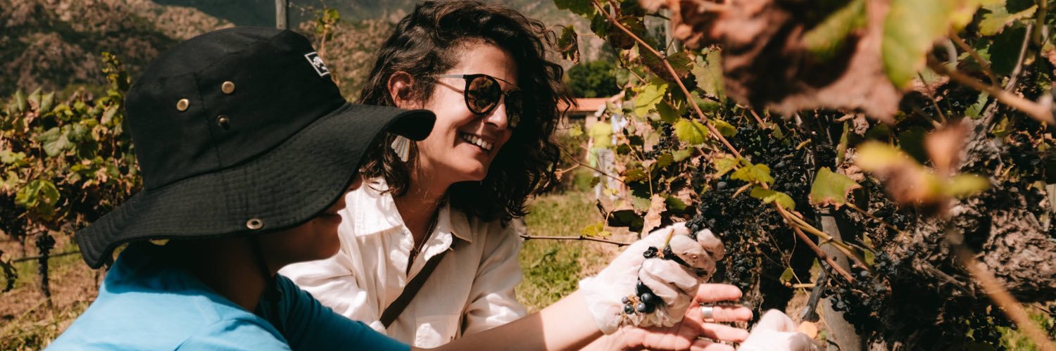 LadyFrenesi's profile banner image